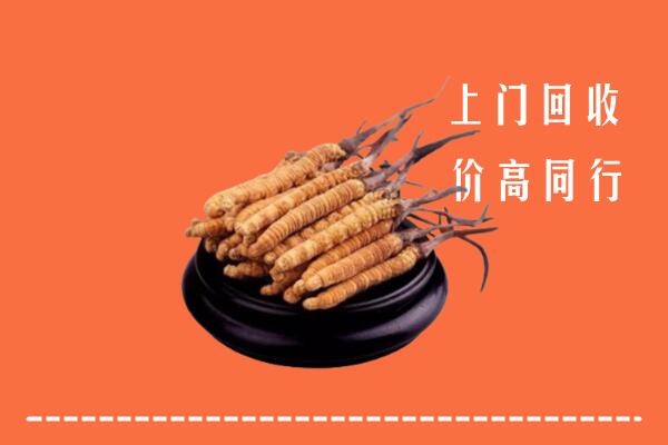 高价求购：汕尾陆河回收散虫草