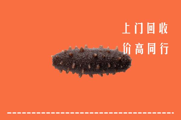 高价求购：汕尾陆河回收海参
