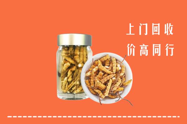 汕尾陆河回收冬虫夏草