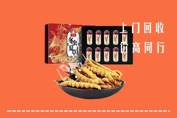 汕尾陆河回收虫草